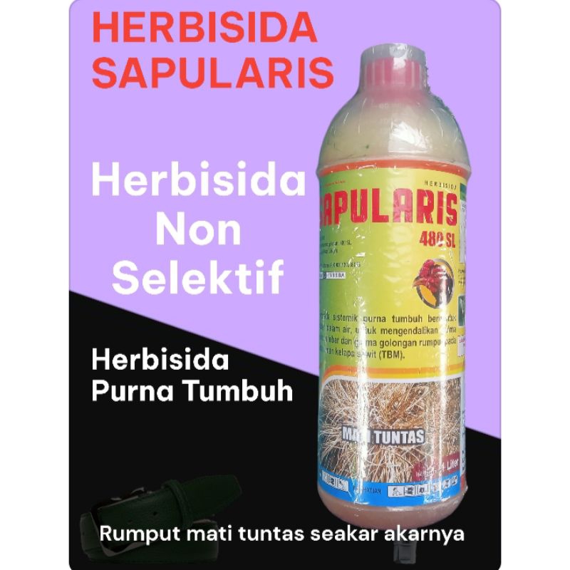 Herbisida SAPULARIS 480 SL isi 1 liter Herbisida sistemik non selektif Pembasmi segala jenis rumput