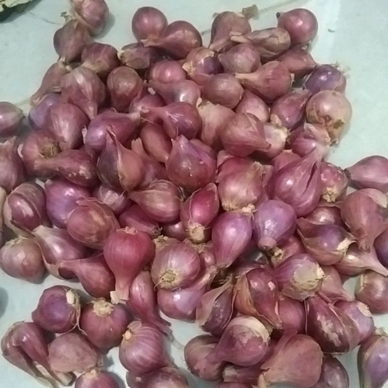 

link co bawangmerah ukuran sedang