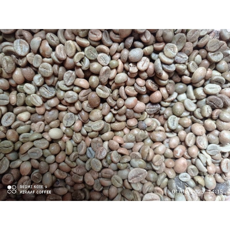 

Biji kopi petik merah umbaran