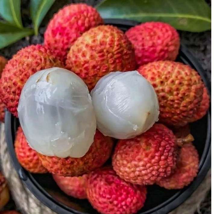 

LYCHE IMPORT MANIS /selalu baru 1kg