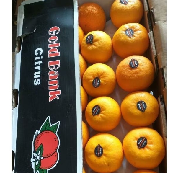

JERUK HONEY WOKAM MANISS FULL/DUS 9KG