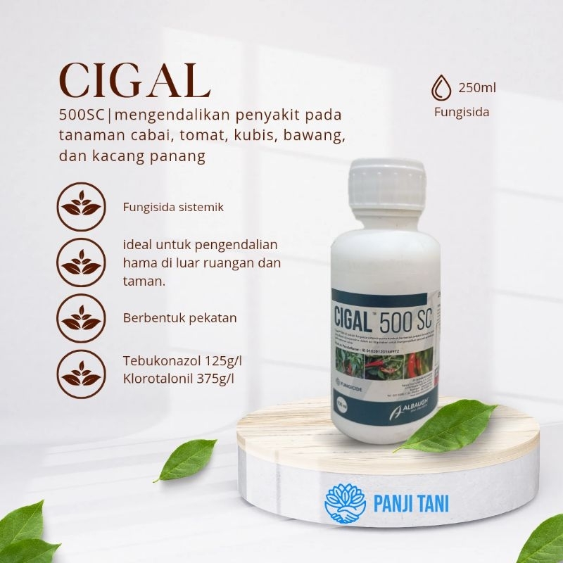 Cigal Fungisida 250ml 500SC