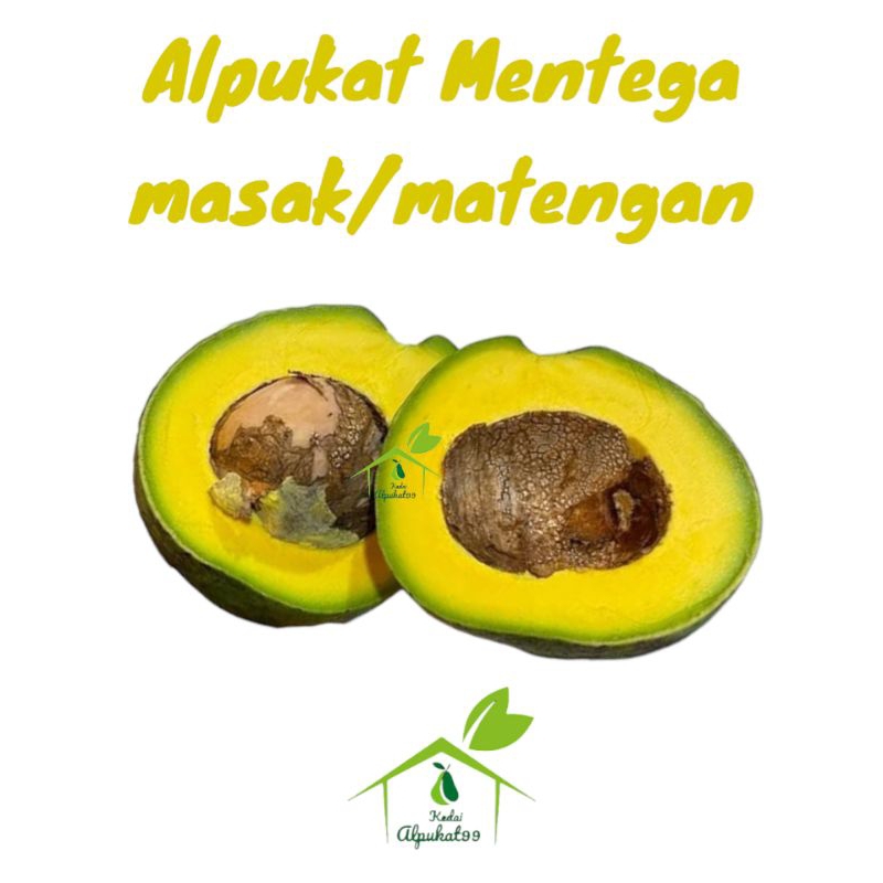 

Alpukat Mentega Matang 1kg isi 5-6