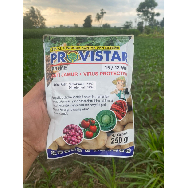 PROVISTAR 15/12 WP Fungisida kontak dan sistemik