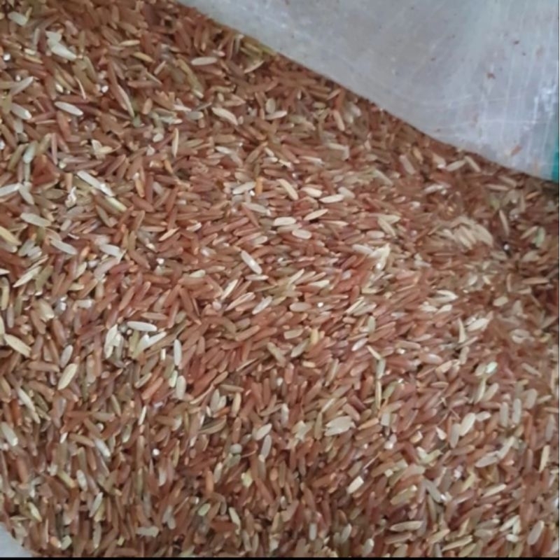 BERAS MERAH PAKAN AYAM BURUNG BERAS MERAH CAMPURAN PAKAN 500GRAM