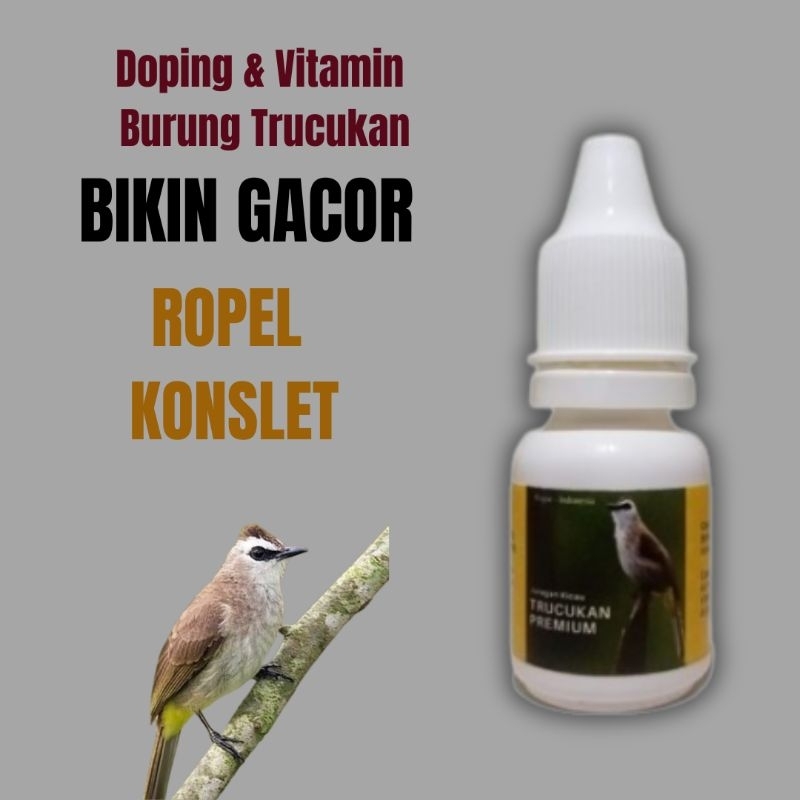 Doping Vitamin Burung Trucukan Premium Biar Gacor Ropel Konslet