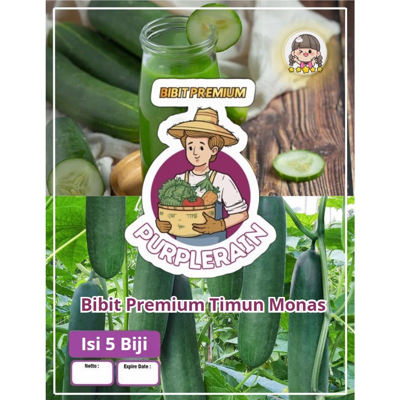 Bibit Premium Timun Monas | Benih Timun Monas F1| Ketimun Monas