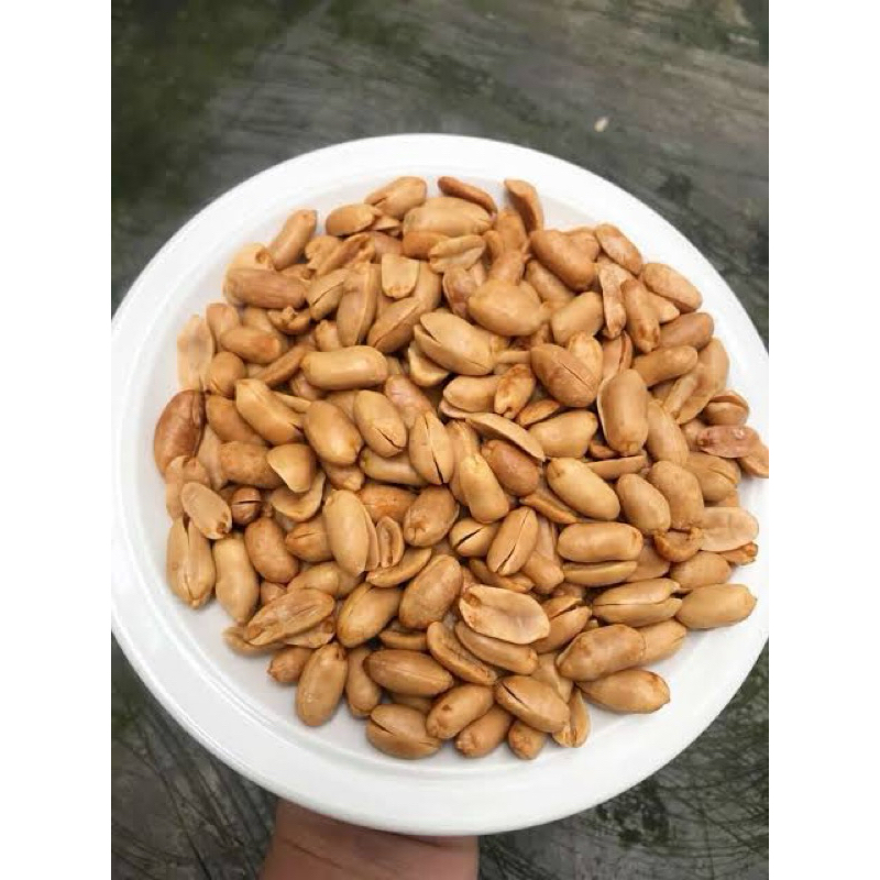 

Kacang bawang JUMBO UKURAN BESAR SUPER kacang bawang JUMBO SUPER kacang gawil JUMBO SUPER