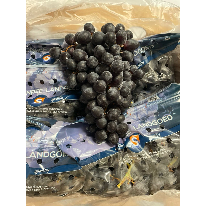 

Anggur Hitam / Black Grapes