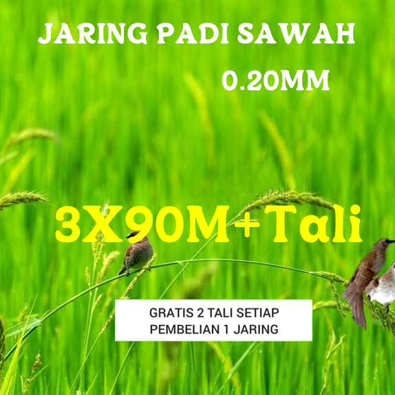 Jaring burung sawah lubang 1 jari jaring burung emprit jaring burung pipit jaring padi jaring burug
