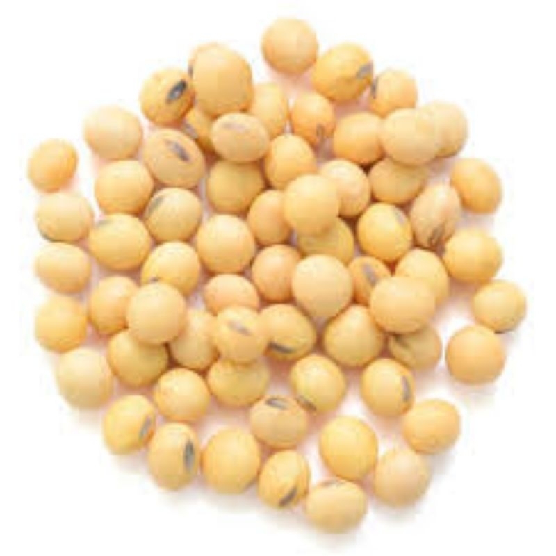 

Kedelai Import Kualitas Bagus / Tempe Kedelai / Susu Kedelai dele / Biji Kedelai Murah