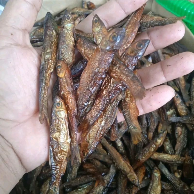 

ikan maninjau asap kering enak