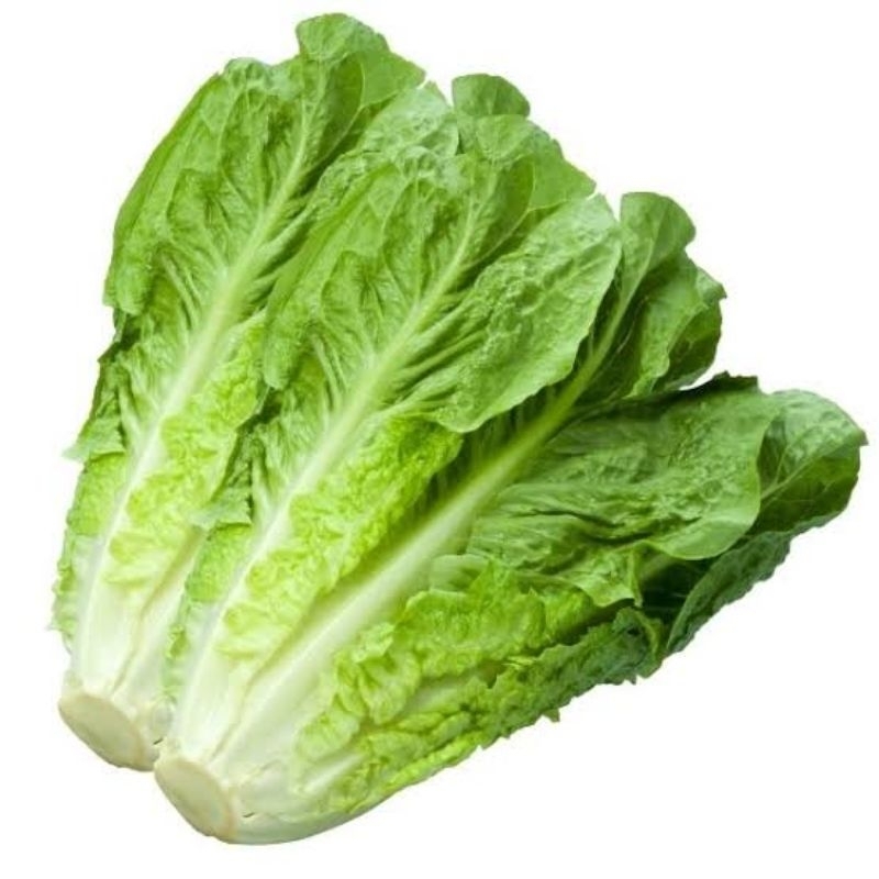 

Lettuce