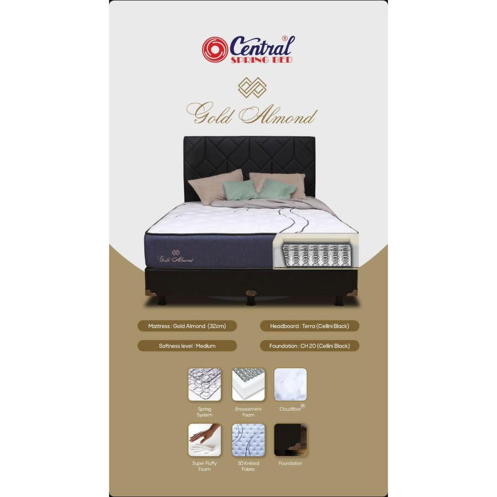 Central Spring Bed Gold Almond (32cm)