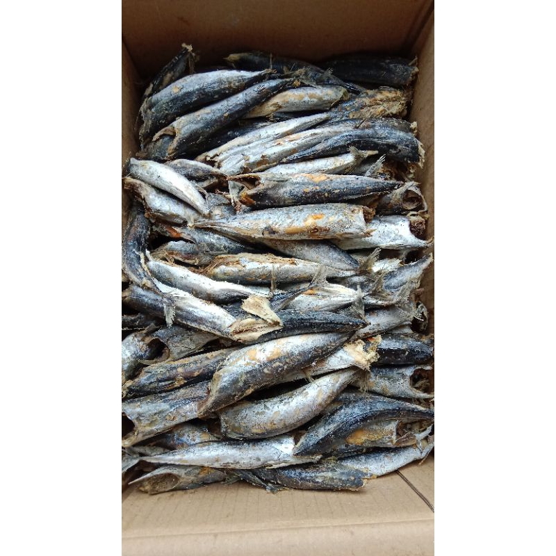 

ikan asin tongkol pk 1kg / tanpa kepala