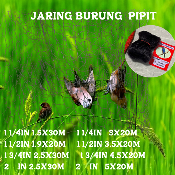 Jaring burung hitam jaring burung sawah Jaring burung kecil Panjang +-30M