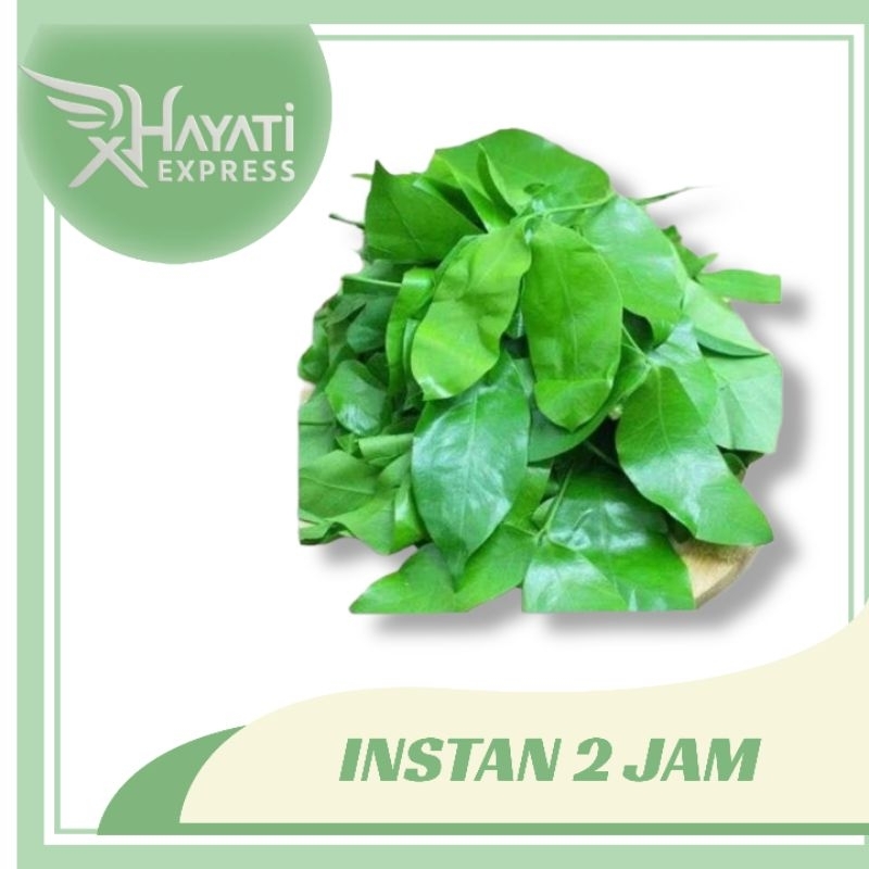 

Dong So Daun Mlinjo Siap Kirim Instan Semarang