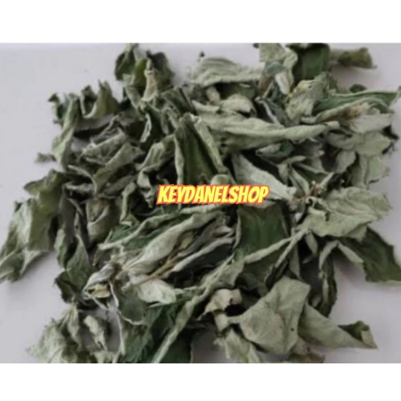 

Daun kersen kering murni daun tanpa batang