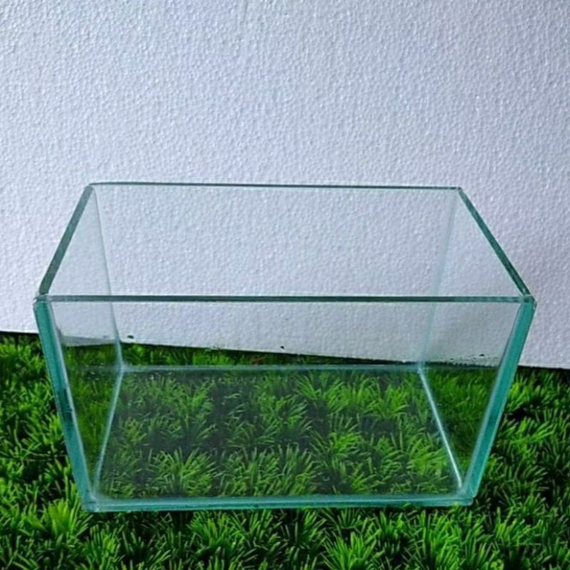 Aquarium kaca 20*10*10 // soliter cupang // aquarium kaca // Aquarium mini