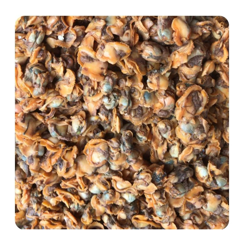 

daging kerang segar 250gr