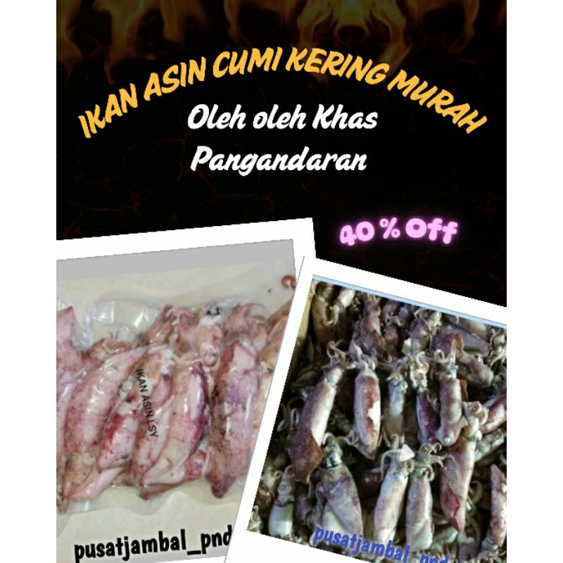 

Ikan Asin Cumi Kering Murah