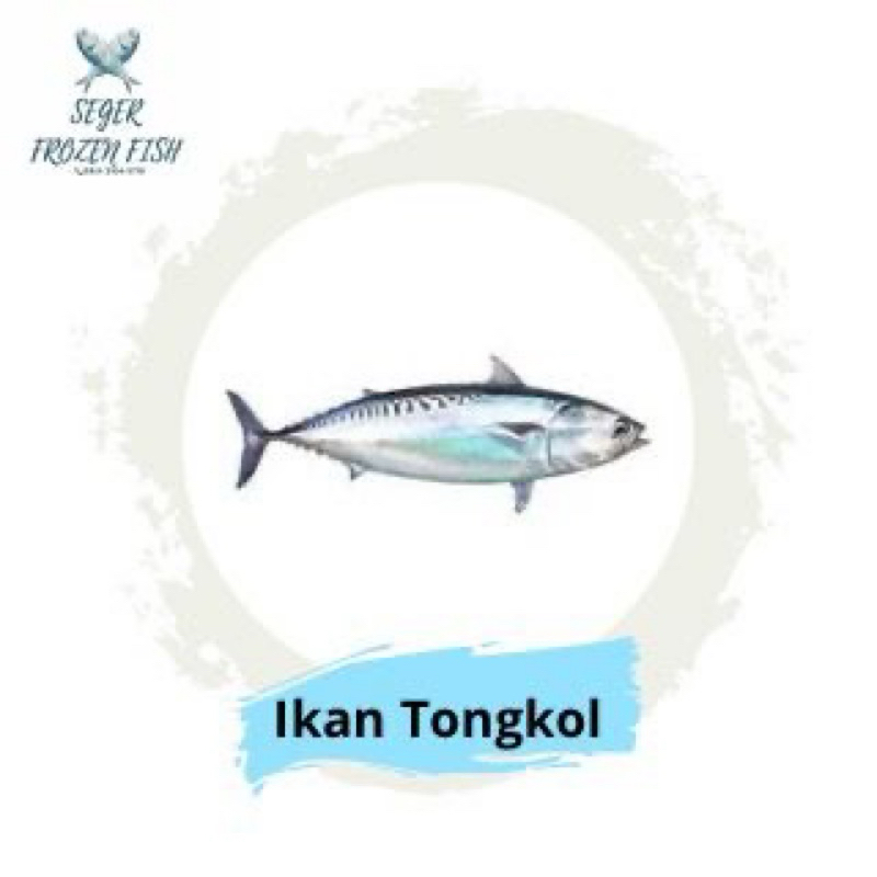 

Ikan Tongkol Deho Frozen Size 7-8 1kg