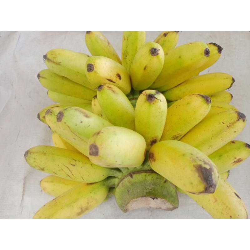 

Pisang Mas
