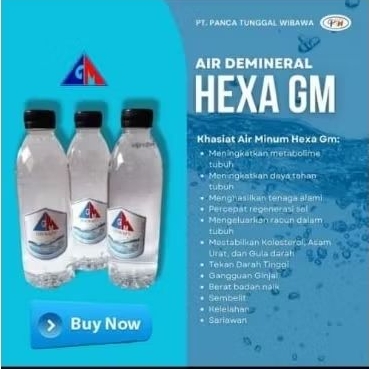 

AIR HEXA GM