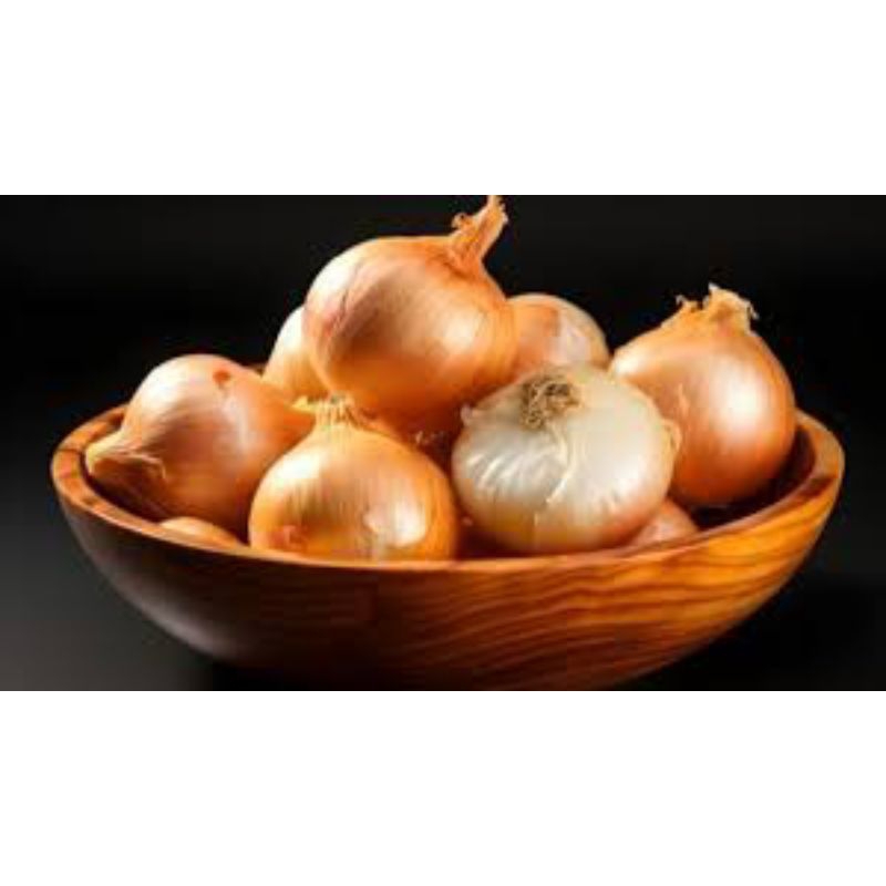 

TERMURAH BAWANG BOMBAY FRESH BESAR