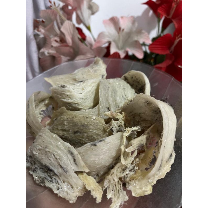 

Sarang Walet Original