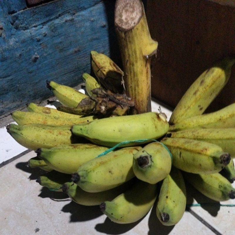 

pisang susu manis