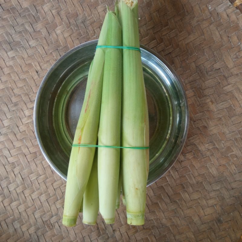 

terubus tebu telor terubuk 1kg