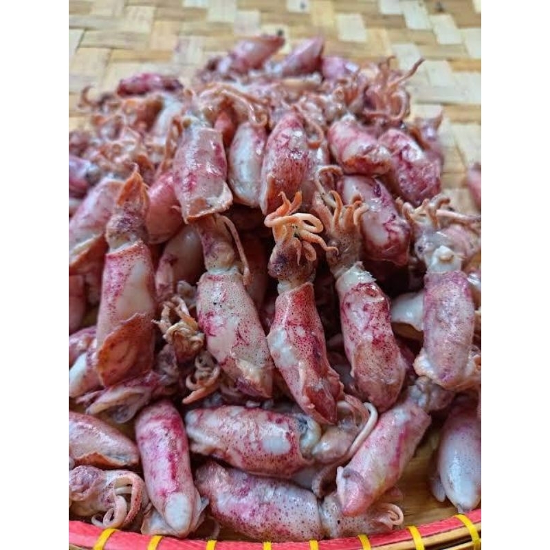 

cumi asin rebus size baby 1 kg