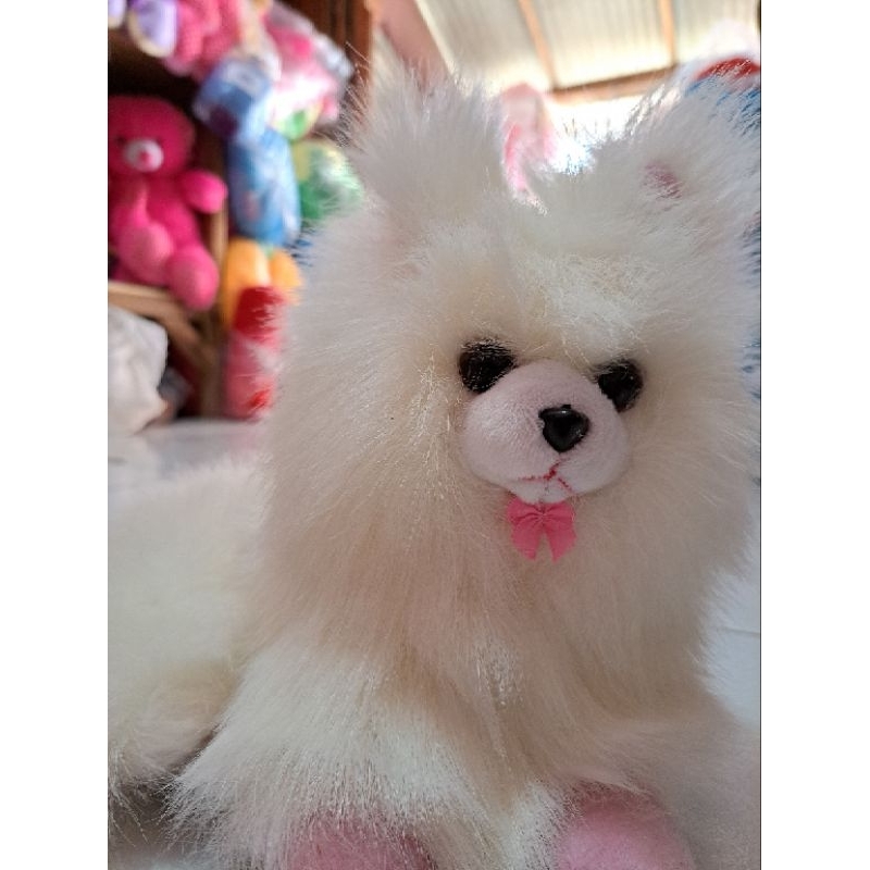 boneka kucing lucu, kucing anggora gemas mainan anak anak