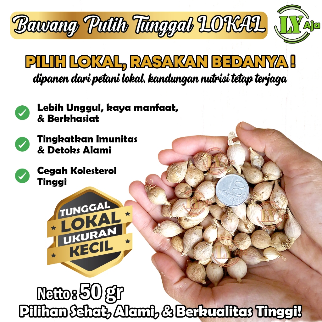 

Bawang Putih Tunggal Lanang Lokal 50g Premium Super Jumbo Sedang Kecil LY Aja