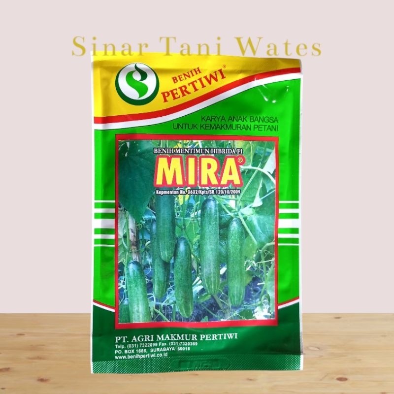 Benih Bibit Timun Hibrida Mira F1 Kemasan 25 Gram
