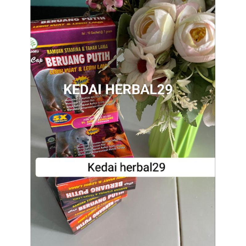 

Minuman Beruang kedai putih
