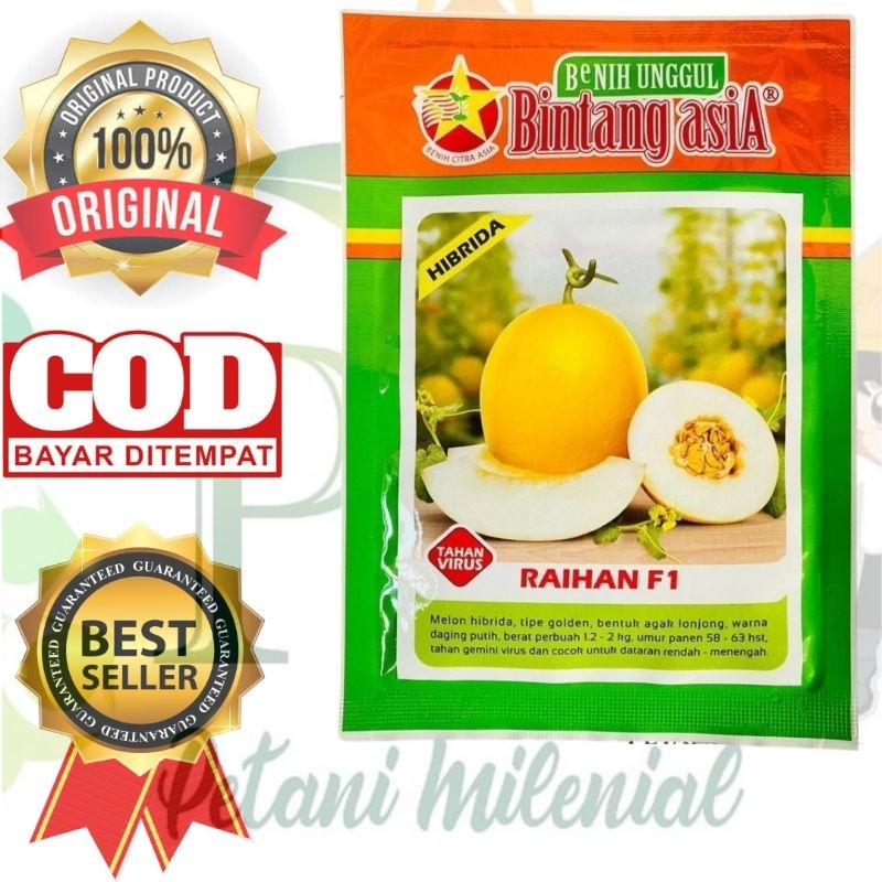 Benih Melon Raihan F1 - bibit melon golden bintang Asia