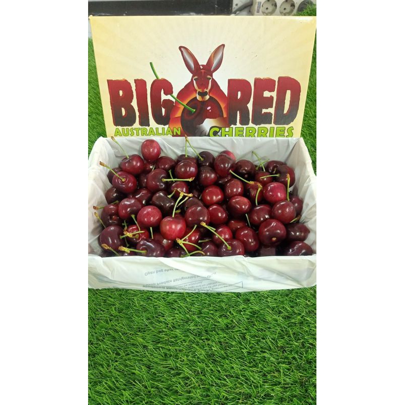 

Cherry Fresh Premium Import | Cherry Segar kemasan Giftbox