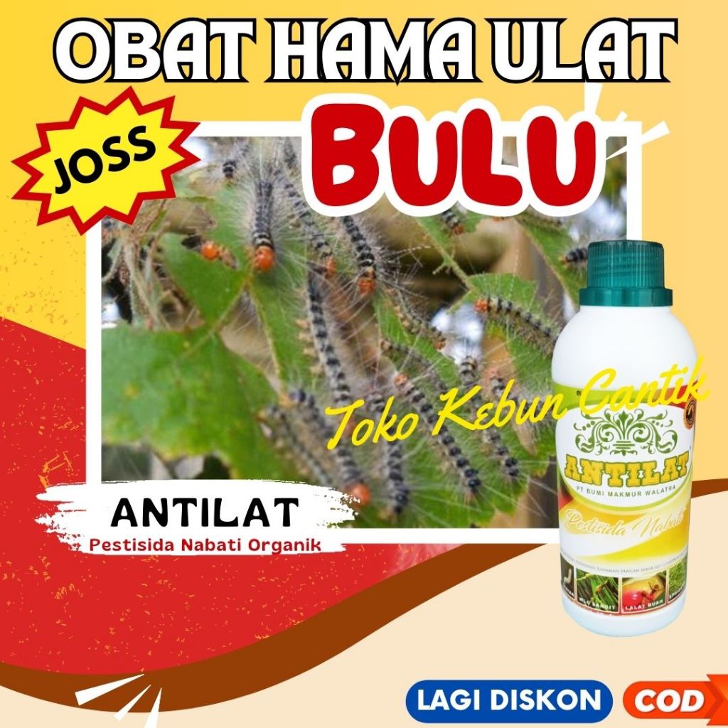 Obat Hama Ulat ANTILAT 500ML – Pestisida Organik untuk Tanaman Cabe, Padi, Tomat, dan Jagung, Mengat