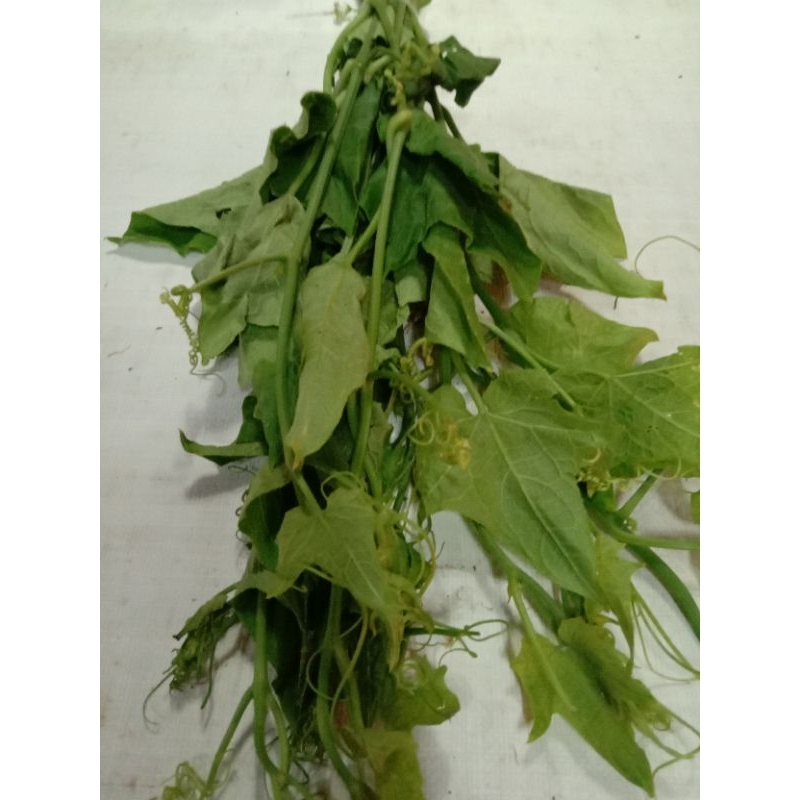 

pucuk labu. 1 ikat Rp. 4.000