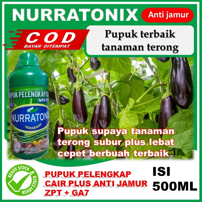 pupuk paling bagus tanaman terong cepet tumbuh & berbuah pupuK pelengkap NURRATONIX 500ML Zpt & GA7