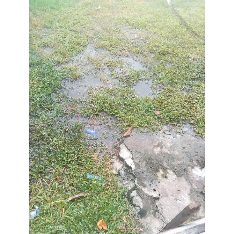 ALAT ANGKAT SAWIT/GETAH KARET GANCIU