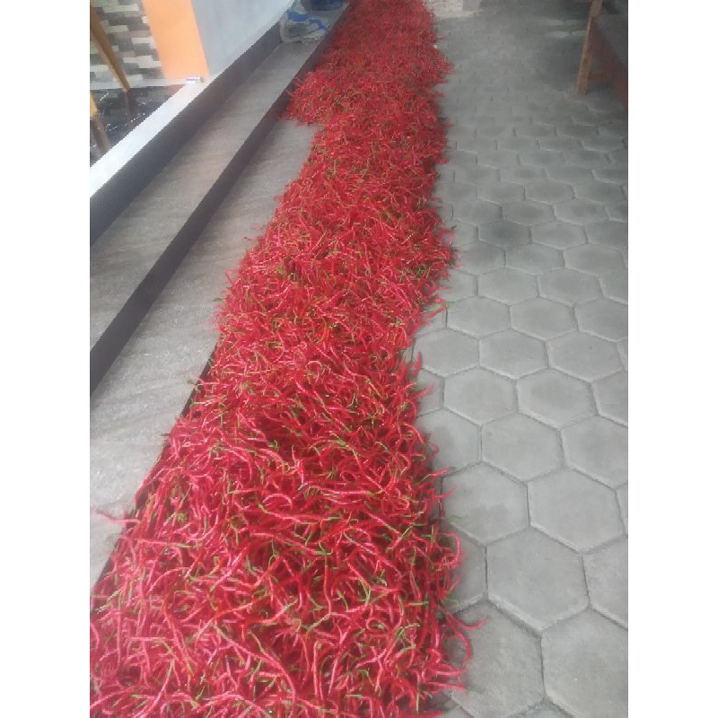 

cabai merah keriting fresh 1kg