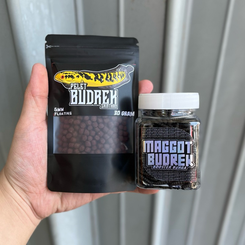 Paket Budrek Maru untuk proges bunga dan warna channa maru Yellow dan Red [Maggot Budrek Booster Bun