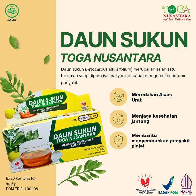 

Teh Celup Daun Sukun Toga Nusantara isi 20 Sachet BPOM