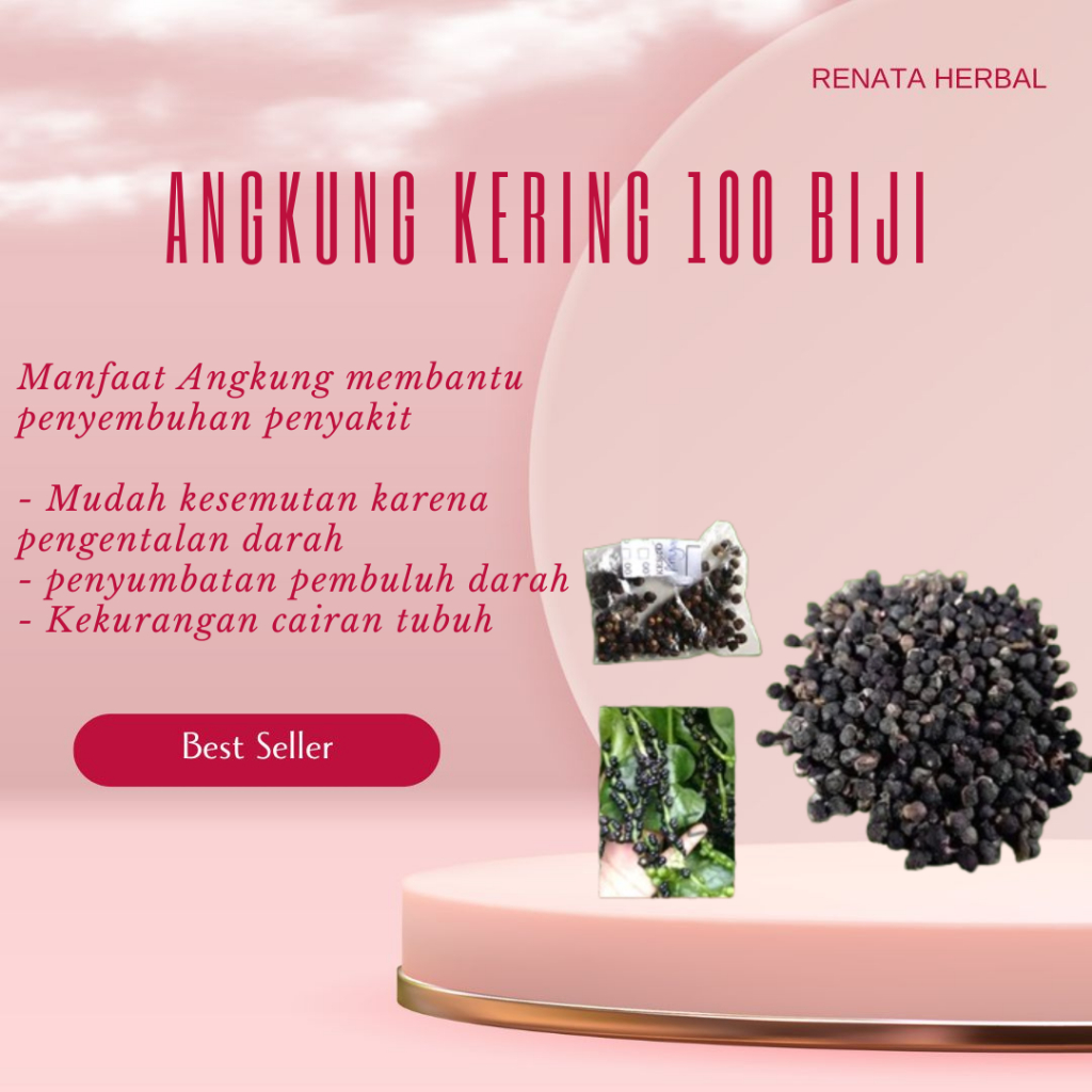 

Angkung Kering 100Biji Original
