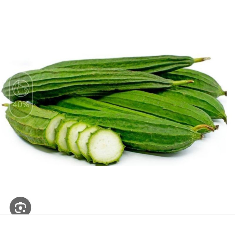 

Oyong Segar atau Gambas Segar