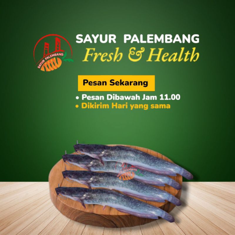 

Ikan Lele 1KG - Sayur Palembang