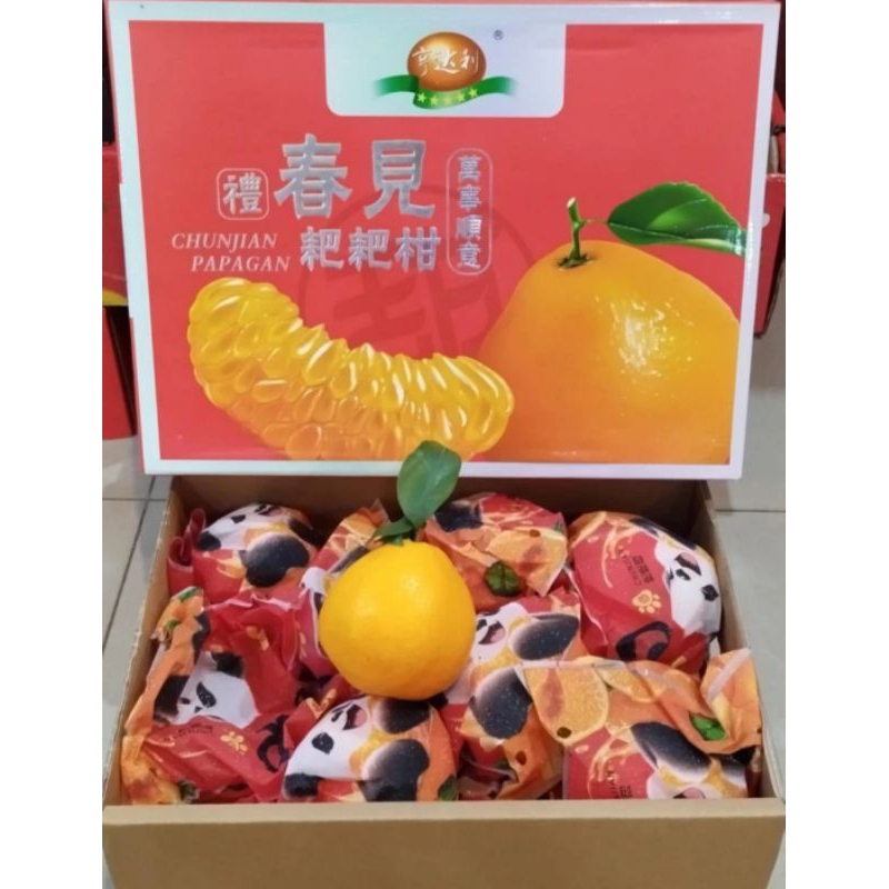 

Hampers Imlek HDL Jeruk Dekopon / Gift Box CNY / Chinese New Year / Sincia